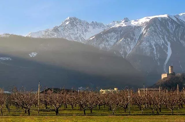 Martigny Catogne