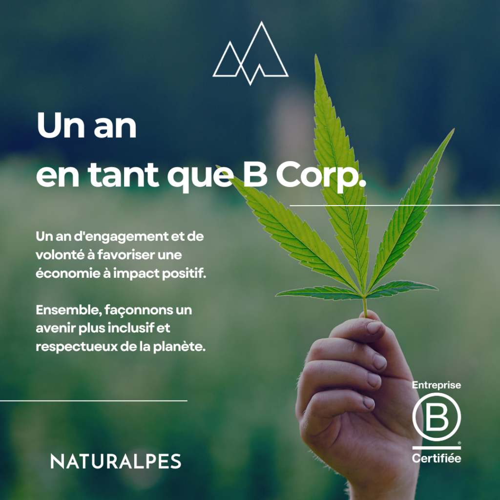 publication b corp 1 an 2 1024x1024 1