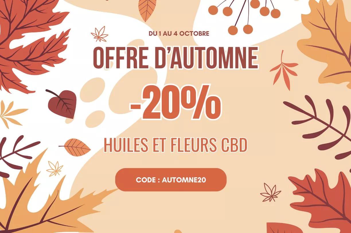 orange and brown illustrated autumn sale flyer 1224 x 815