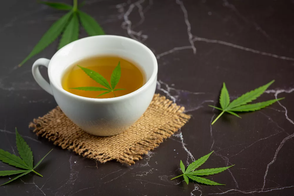tisane de cbd