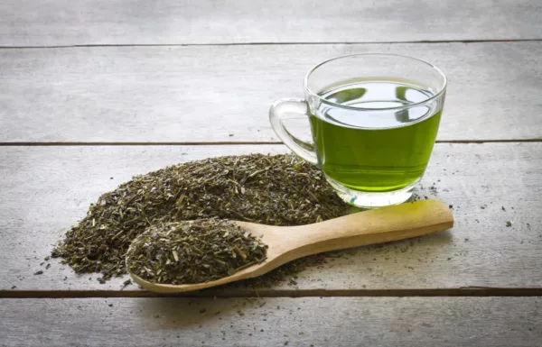 Tisane de CBD : critères de choix et préparation