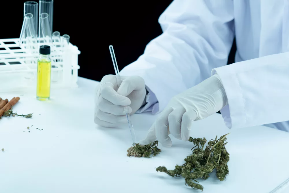 lors d’un cbd test urinaire