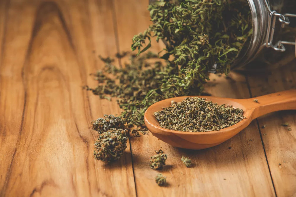 préparation cannabidiol infusion