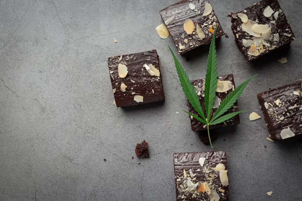 qu’est-ce que le space cake ?