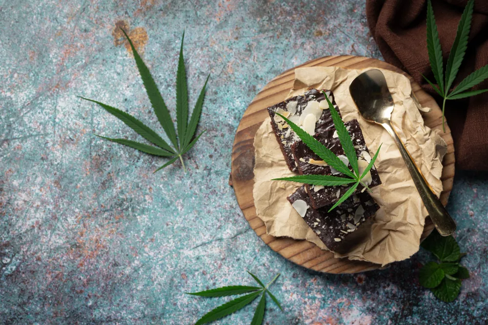 consommation d'un space cake chocolat