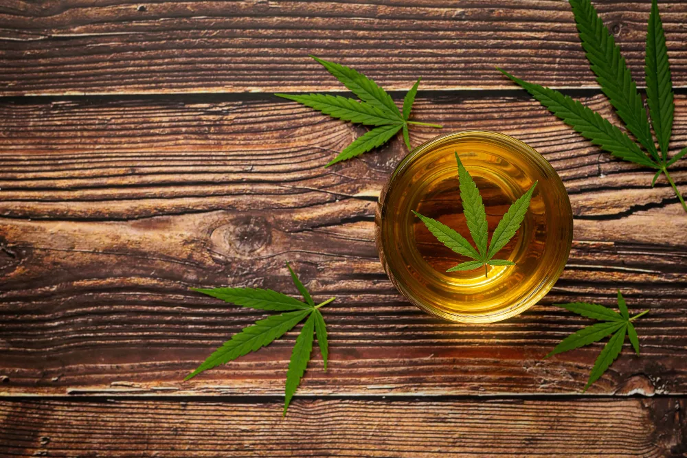 meilleure infusion de cbd bio