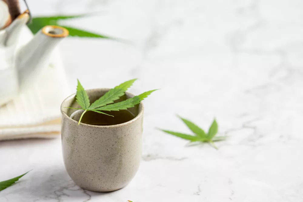 préparation infusion de cbd bio