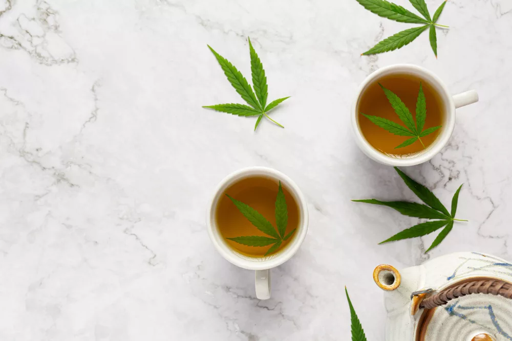 cannabidiol infusion de qualité