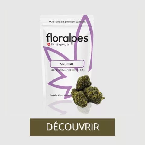 cannabis cbd moonrock