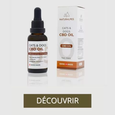 huile cbd pour chien 5%