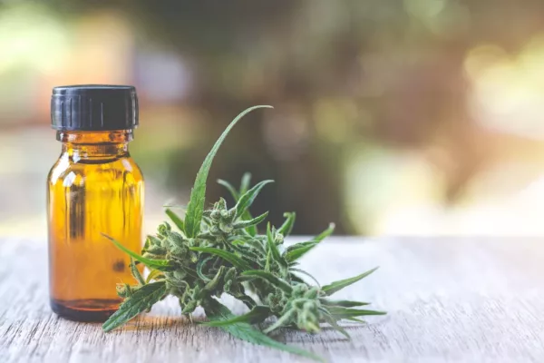 starkes cbd: Konzentrationen verstehen und die richtige Formulierung wählen
