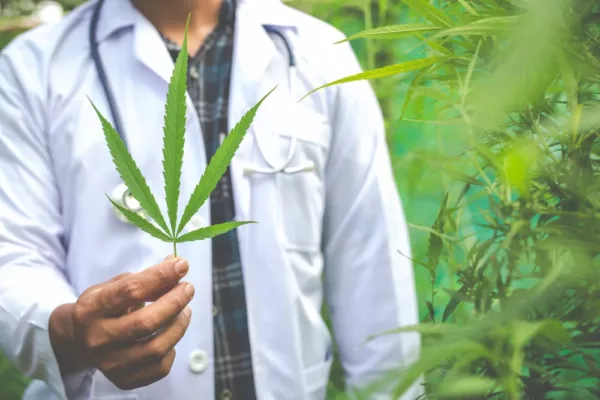 Cannabis Médical en Suisse : Prix, Produits et Accès